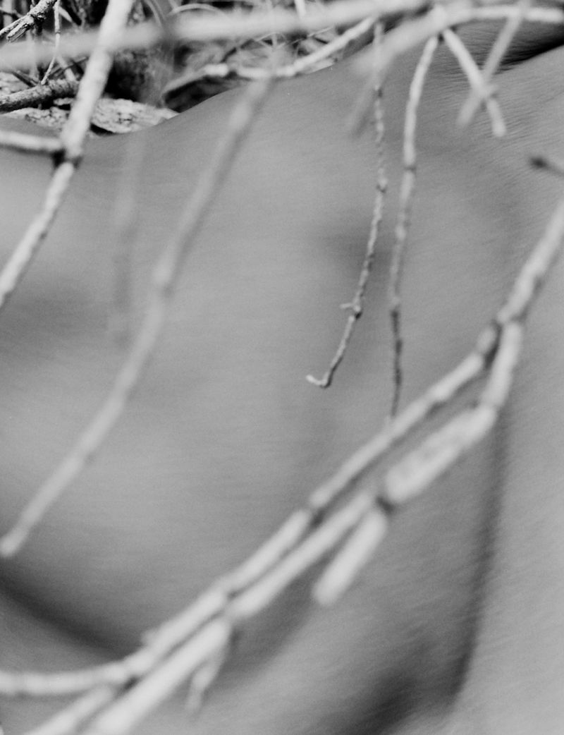 © Cole Barash - Image from the When The Wind Blows North photography project