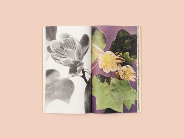 Image from a project on PhMuseum