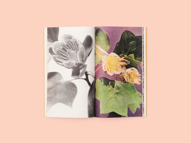 Image from a project on PhMuseum