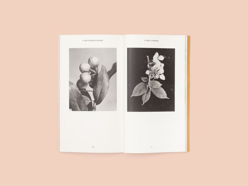 Image from a project on PhMuseum