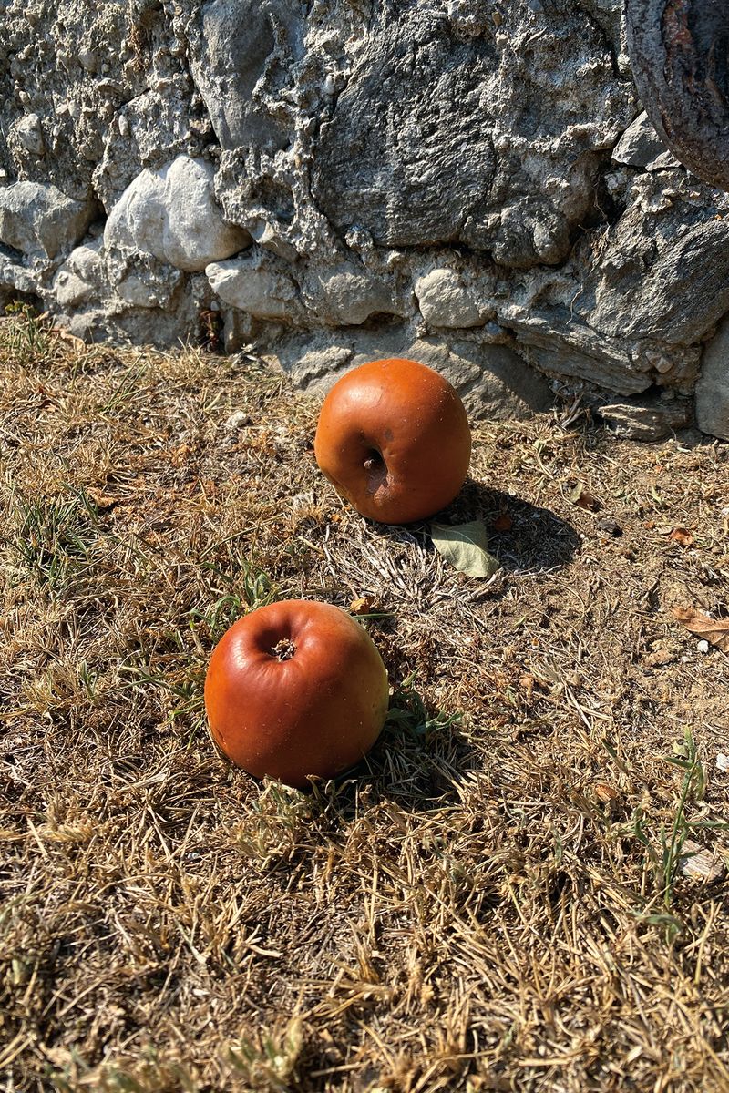 Image from a project on PhMuseum