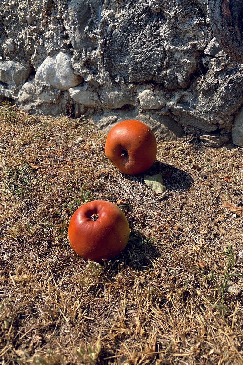 Image from a project on PhMuseum