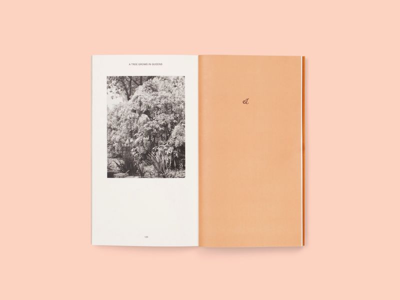 Image from a project on PhMuseum