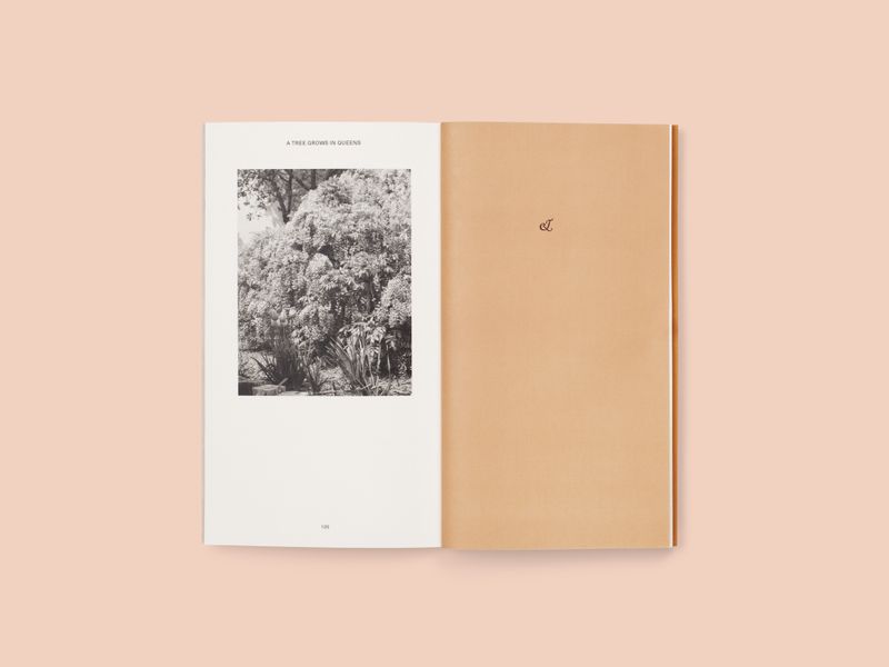 Image from a project on PhMuseum