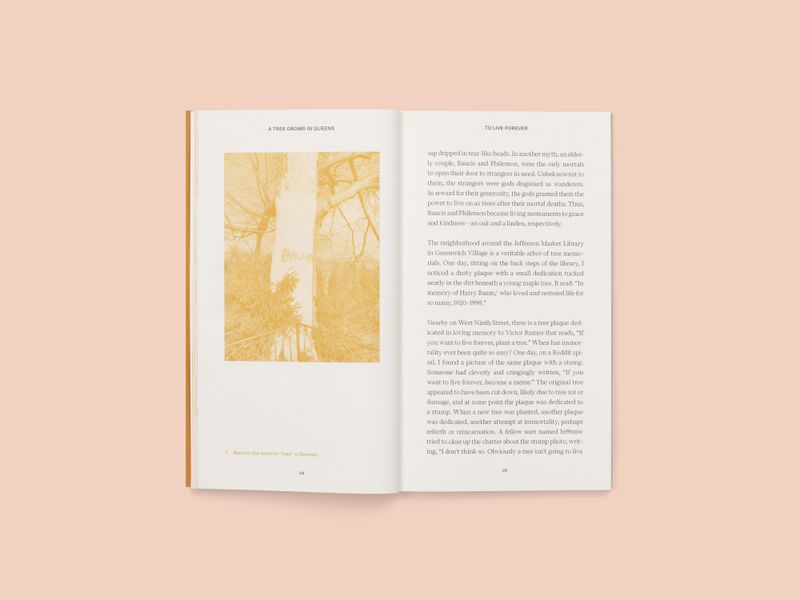 Image from a project on PhMuseum