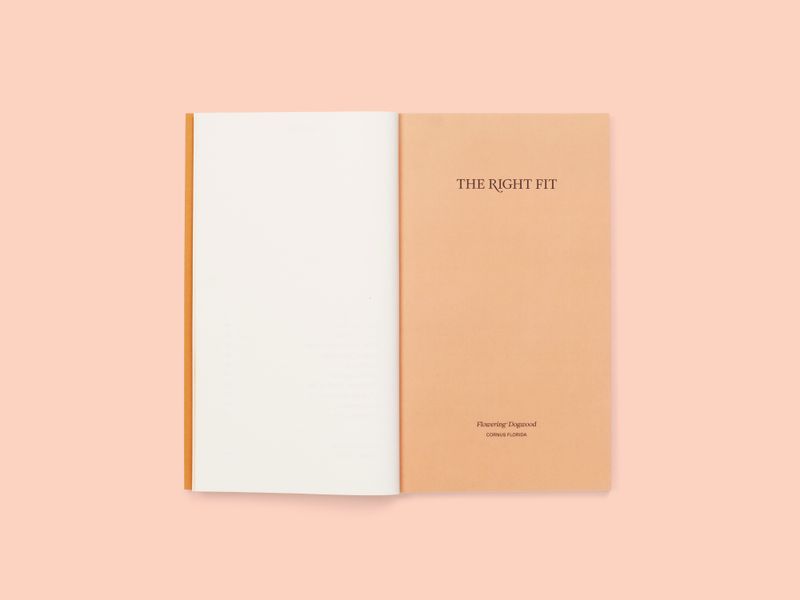 Image from a project on PhMuseum