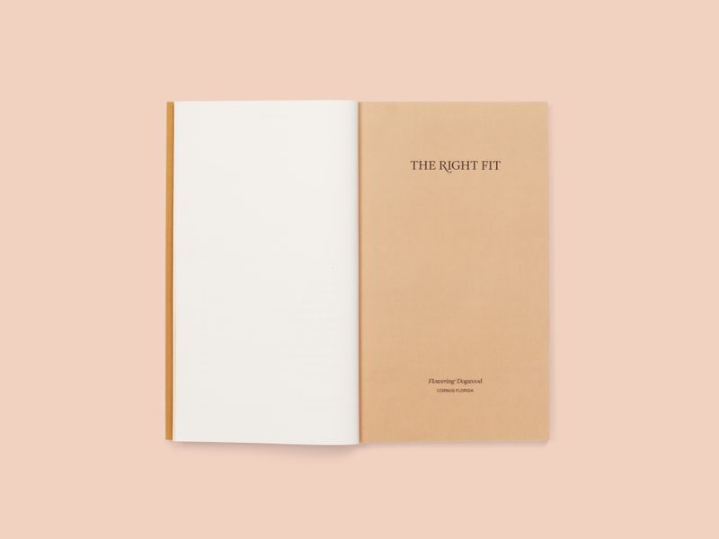 Image from a project on PhMuseum