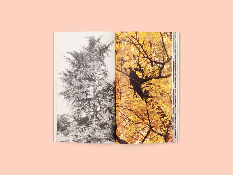 Image from a project on PhMuseum