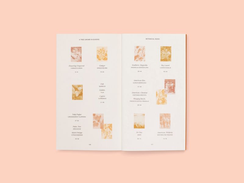 Image from a project on PhMuseum