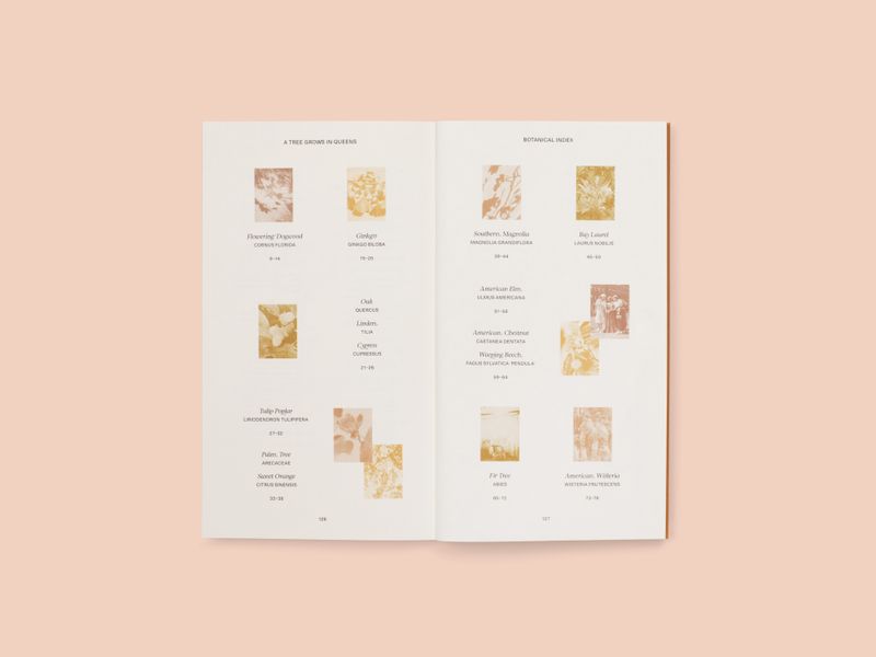 Image from a project on PhMuseum