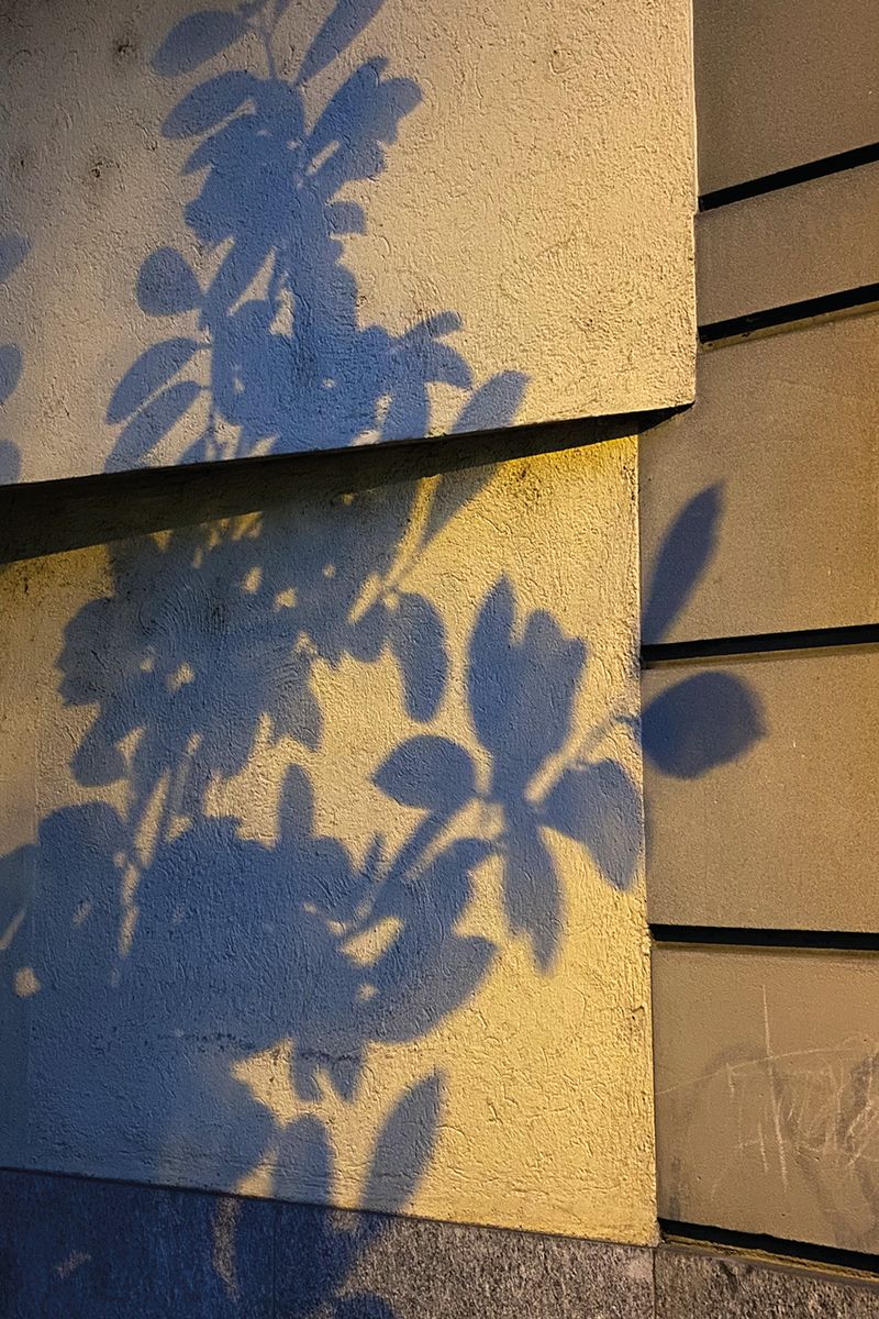 Image from a project on PhMuseum