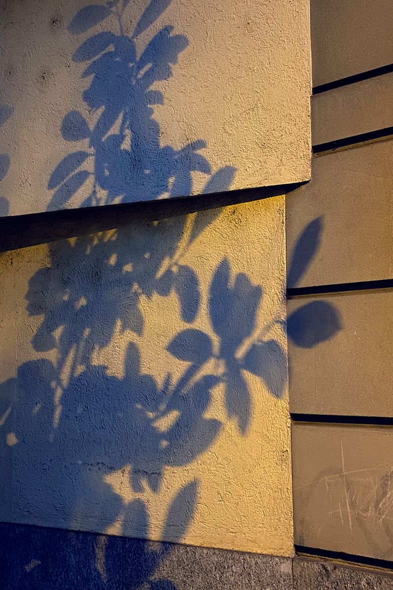 Image from a project on PhMuseum