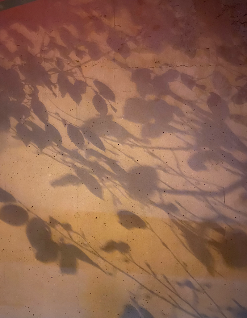 Image from a project on PhMuseum