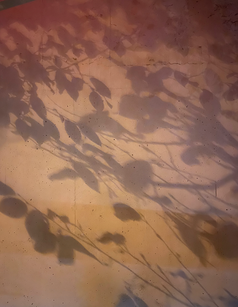 Image from a project on PhMuseum