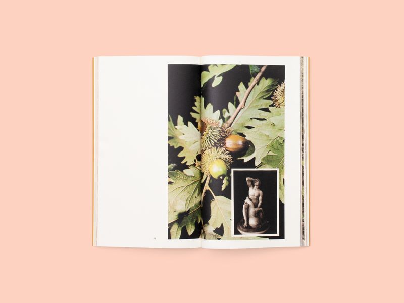 Image from a project on PhMuseum