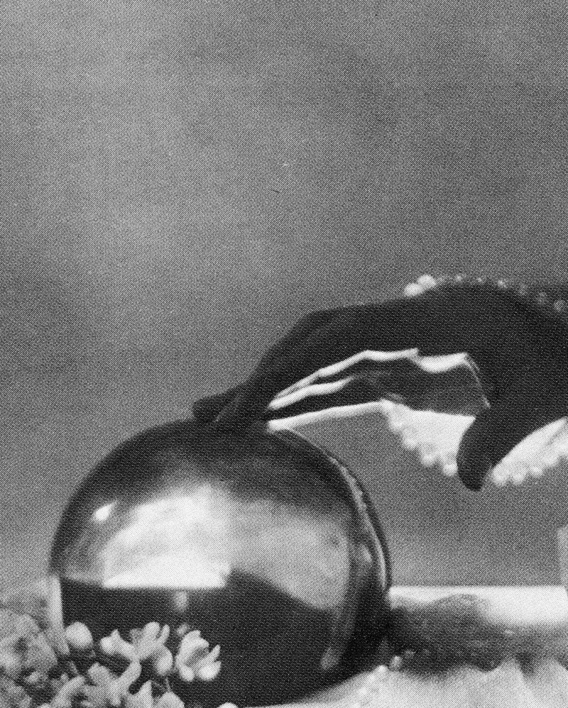 Image from a project on PhMuseum