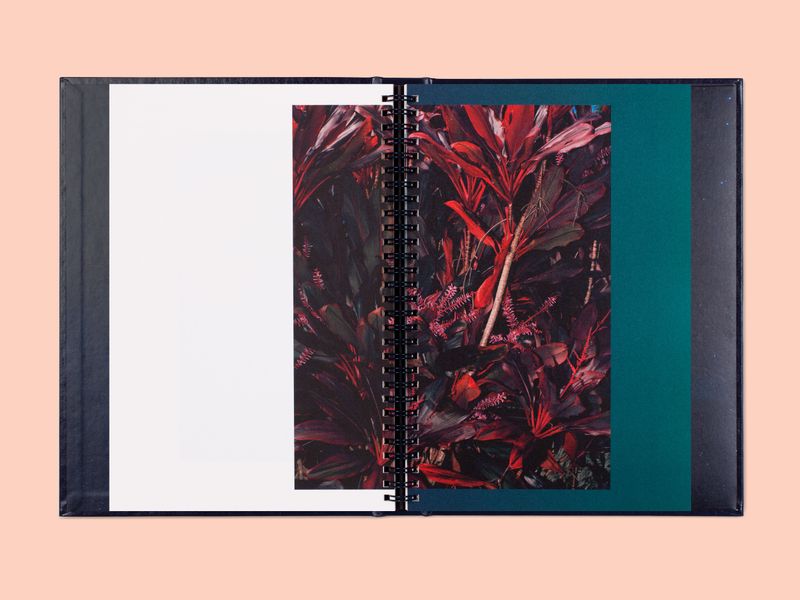 Image from a project on PhMuseum