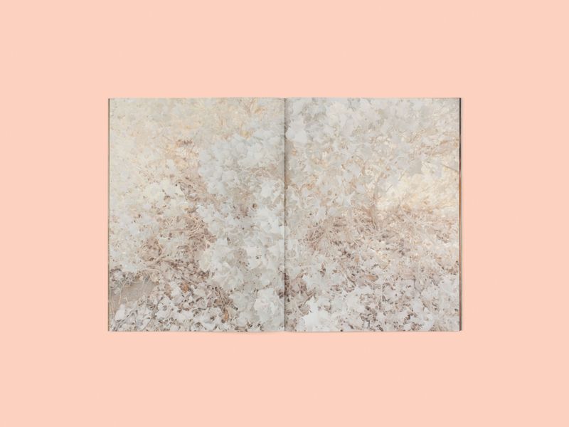 Image from a project on PhMuseum