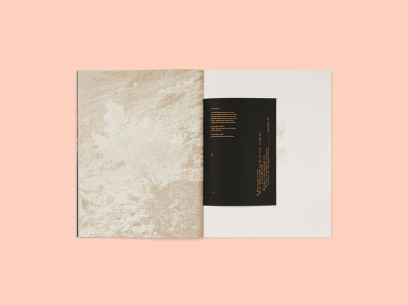 Image from a project on PhMuseum