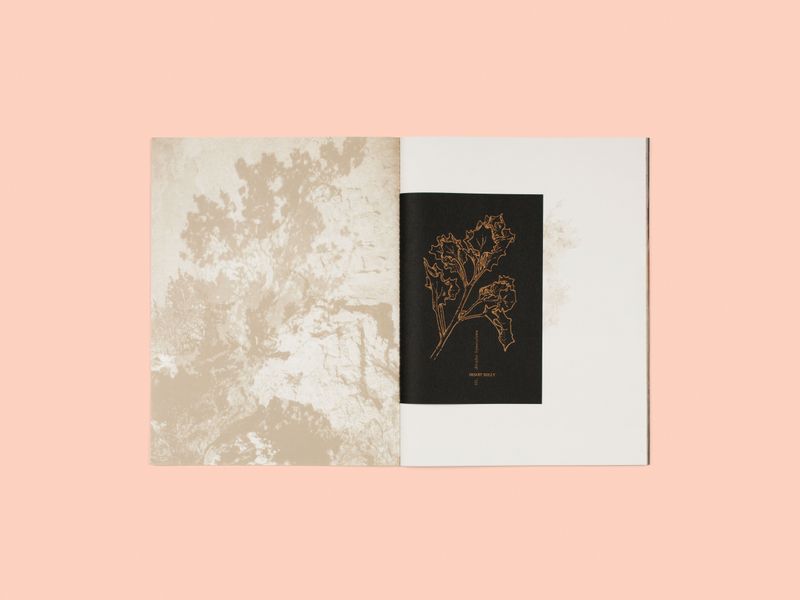 Image from a project on PhMuseum