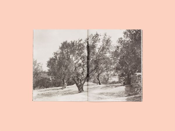 Image from a project on PhMuseum