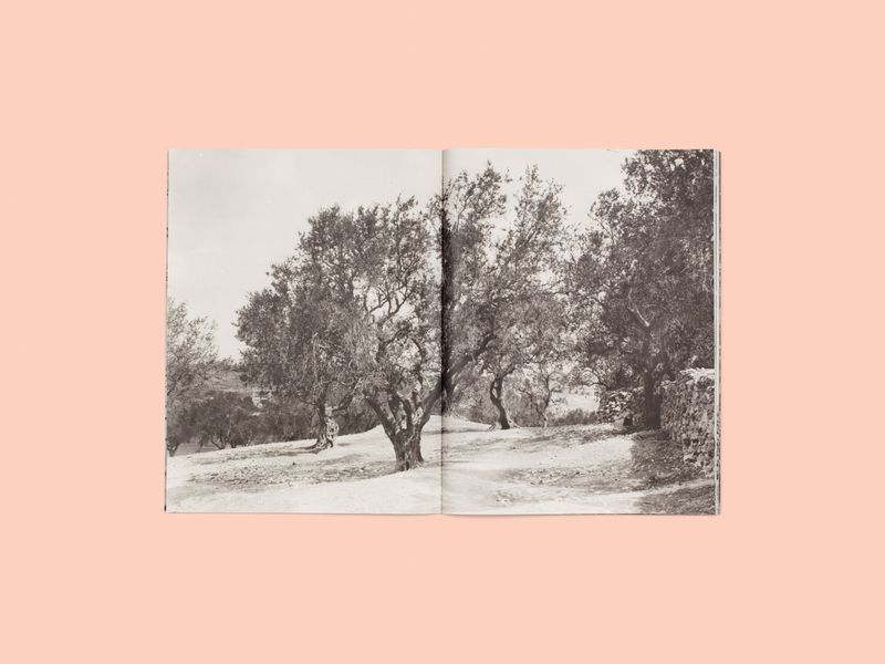 Image from a project on PhMuseum