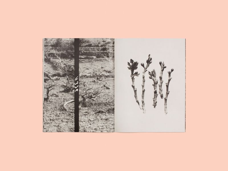 Image from a project on PhMuseum