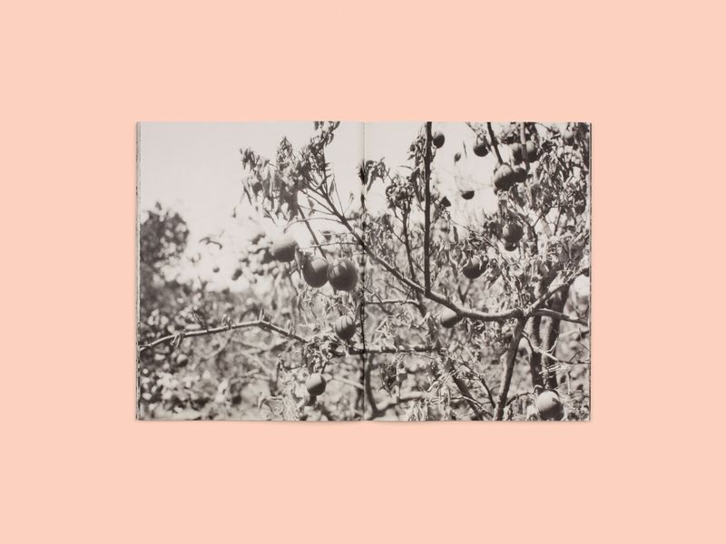 Image from a project on PhMuseum