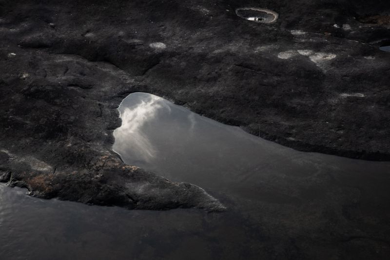 © Federico Grinbank - Image from the Storforsen photography project