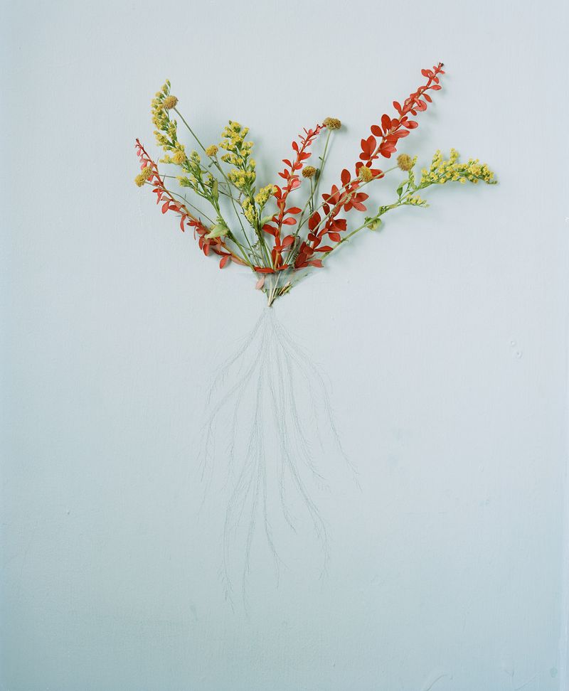 © Vikram Kushwah - Image from the A Love For No Reason photography project