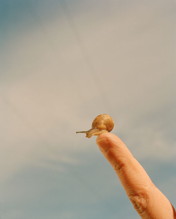 © Vikram Kushwah - Image from the A Love For No Reason photography project