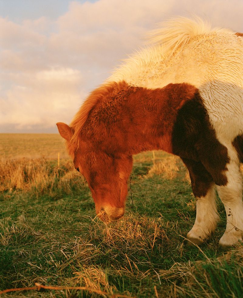 © Vikram Kushwah - Image from the A Love For No Reason photography project