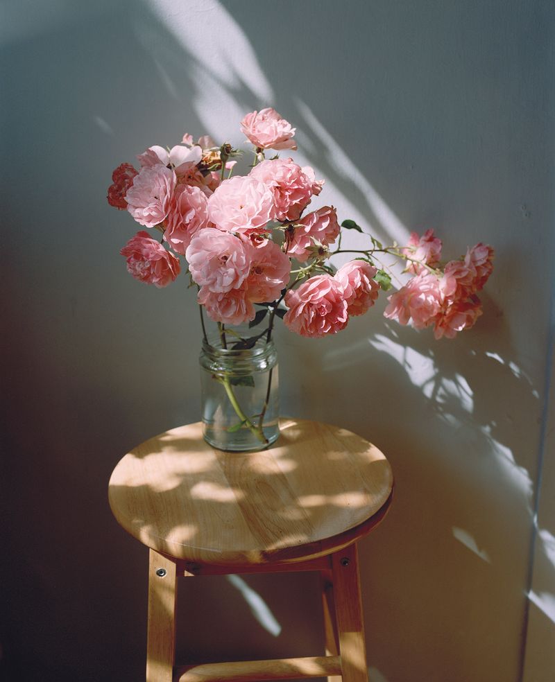 © Vikram Kushwah - Image from the A Love For No Reason photography project