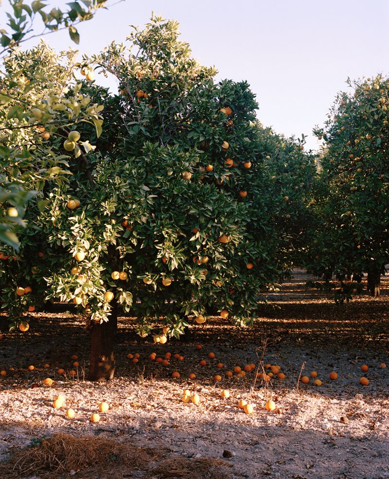 © Vikram Kushwah - Image from the A Love For No Reason photography project