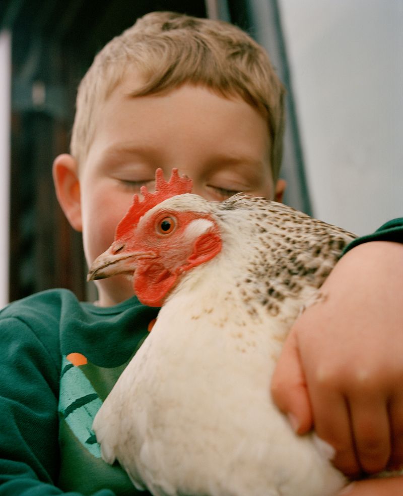 © Vikram Kushwah - You are Safe