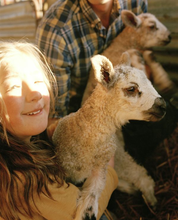 © Vikram Kushwah - Mum, Why Isn’t Maisie Scared of the Mummy Sheep