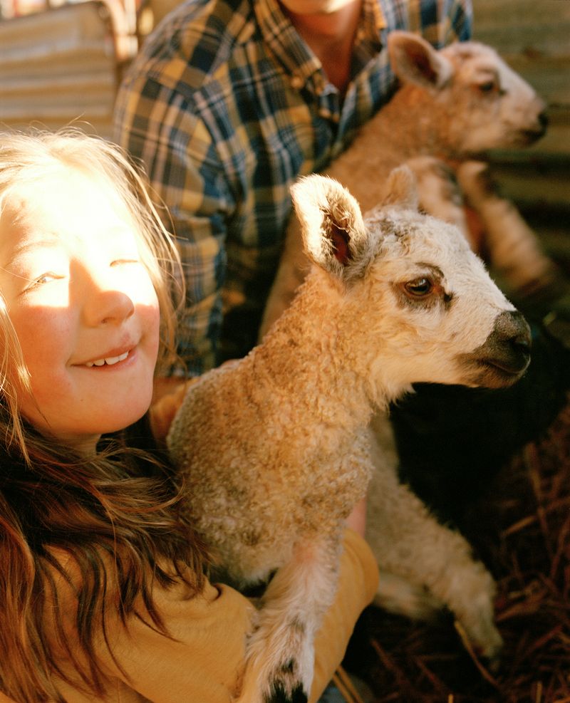 © Vikram Kushwah - Mum, Why Isn’t Maisie Scared of the Mummy Sheep