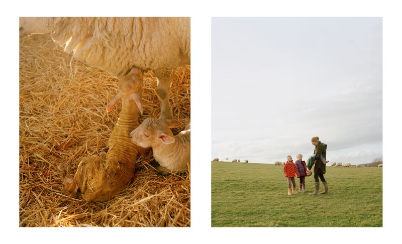 © Vikram Kushwah - Everything Connected