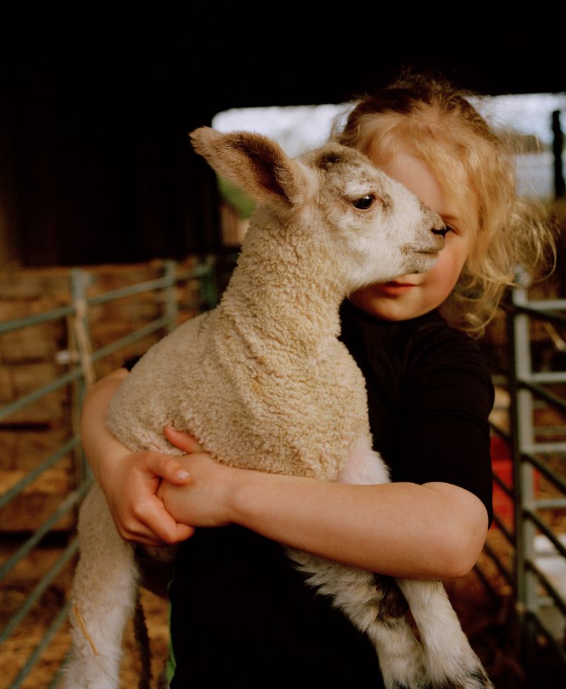 © Vikram Kushwah - The Lamb and Clara