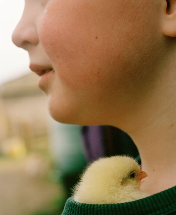 © Vikram Kushwah - Kin