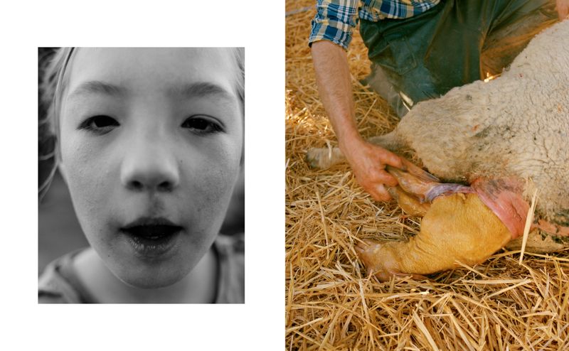 © Vikram Kushwah - Shunya