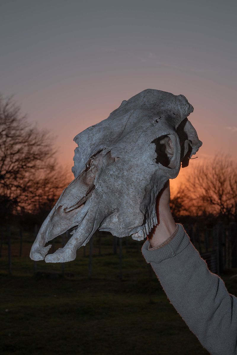 © Catalina Torres - Image from the Those things that prick my chest photography project