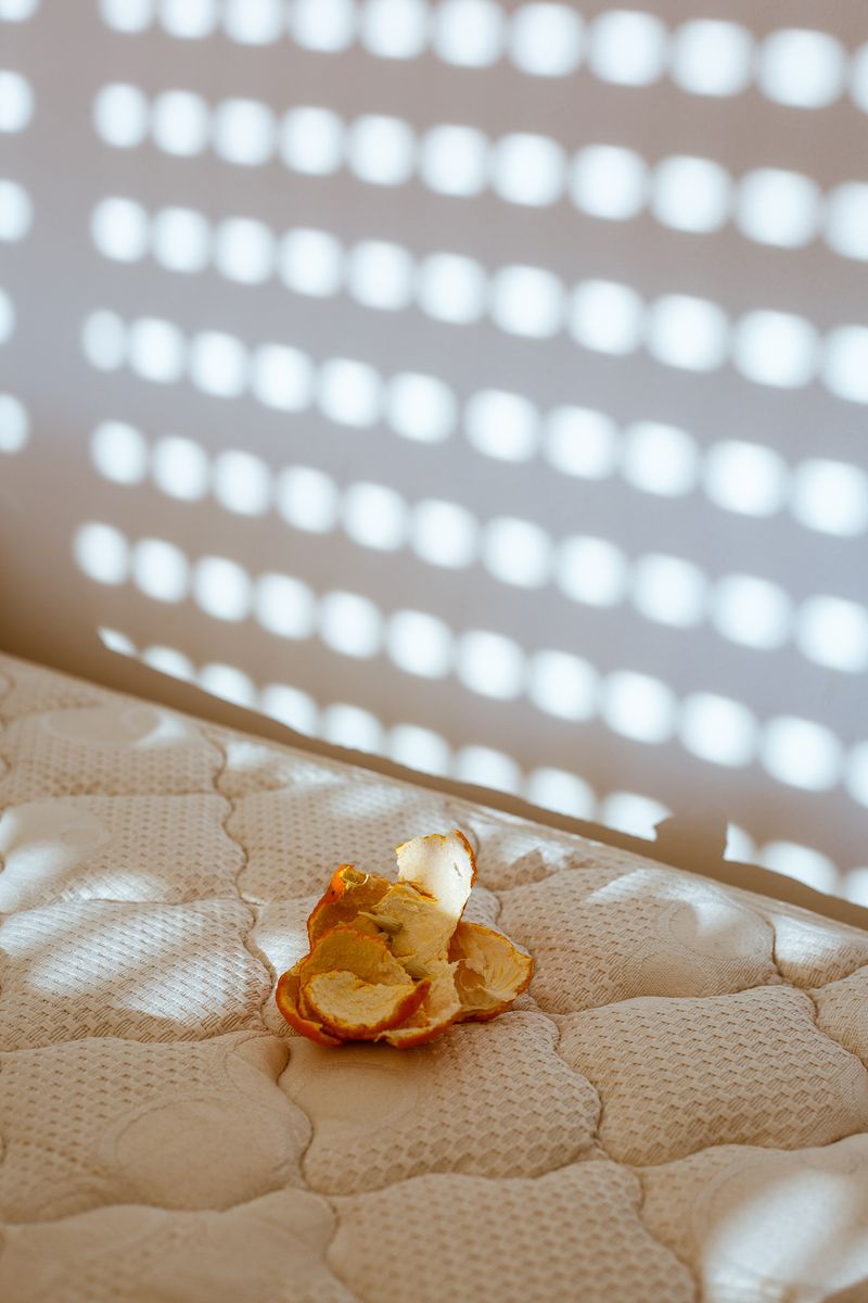 © Catalina Torres - Image from the Those things that prick my chest photography project