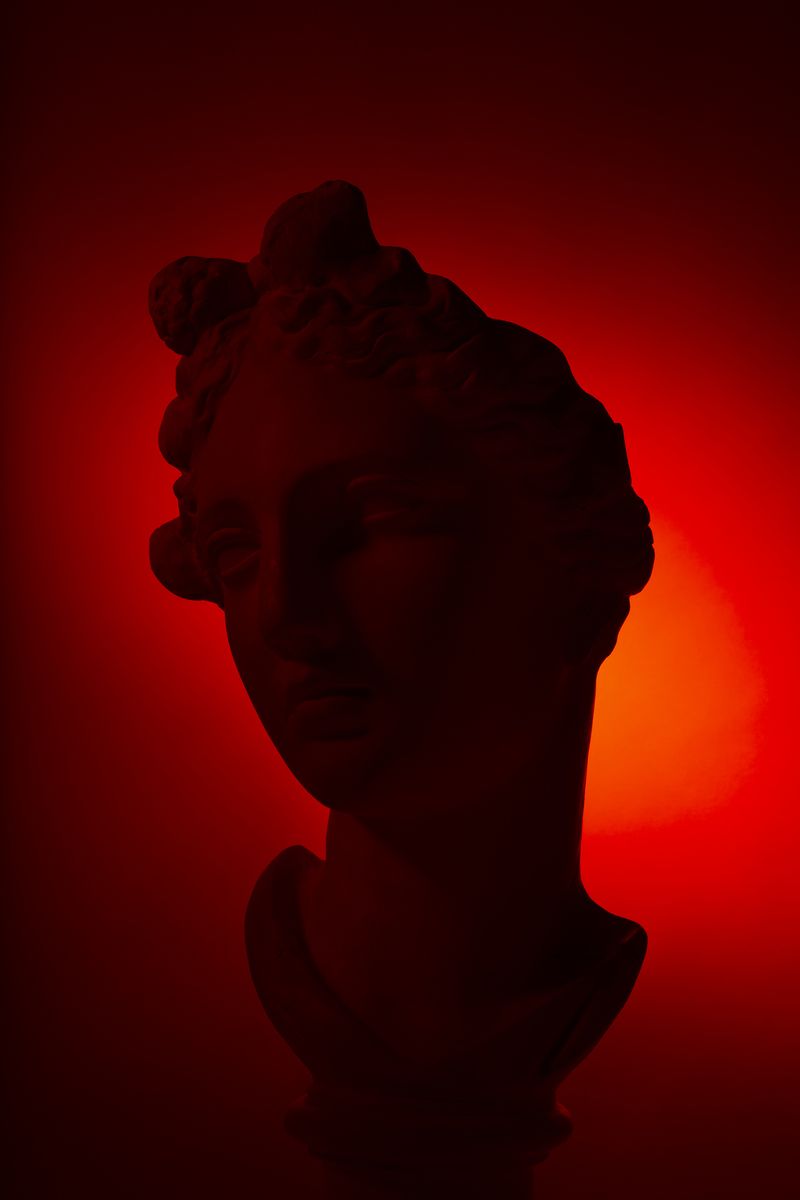 © Ellen Smeets - Image from the Happiness is a warm scalpel.  Fundamental Methods photography project