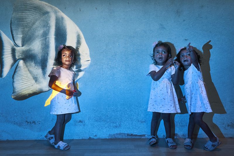 © Edoardo / Giulia Delille / Piermartiri - Image from the Diving Maldives photography project