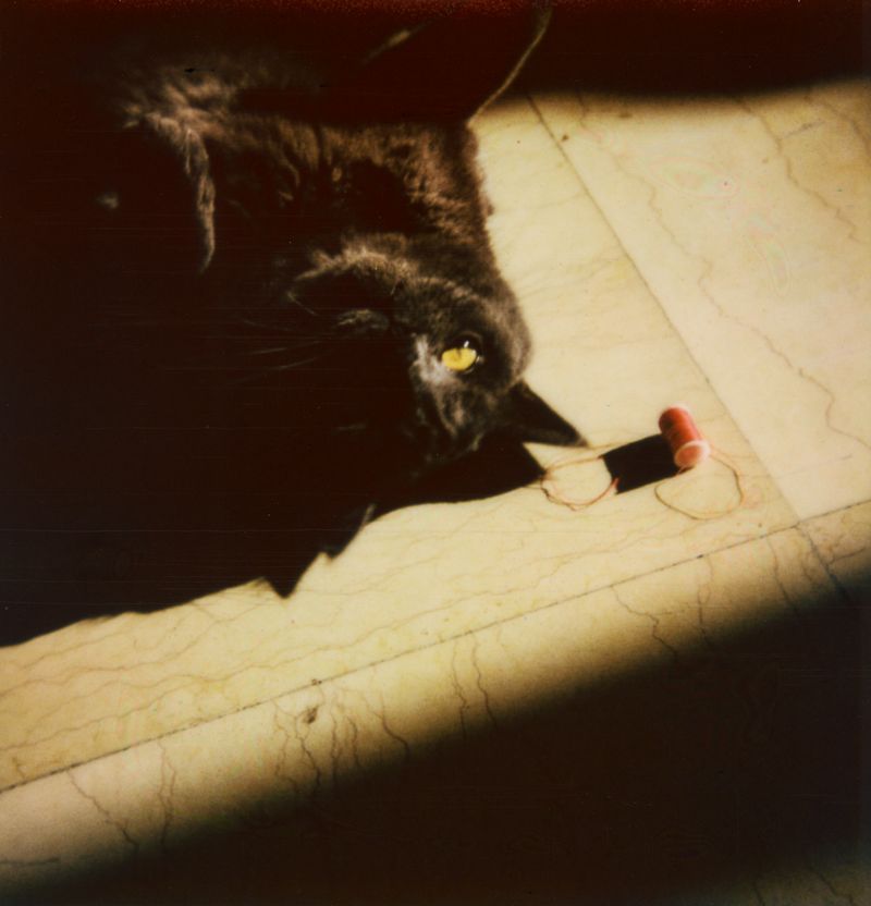 © Gloria Salgado Gispert - Image from the Life pieces photography project
