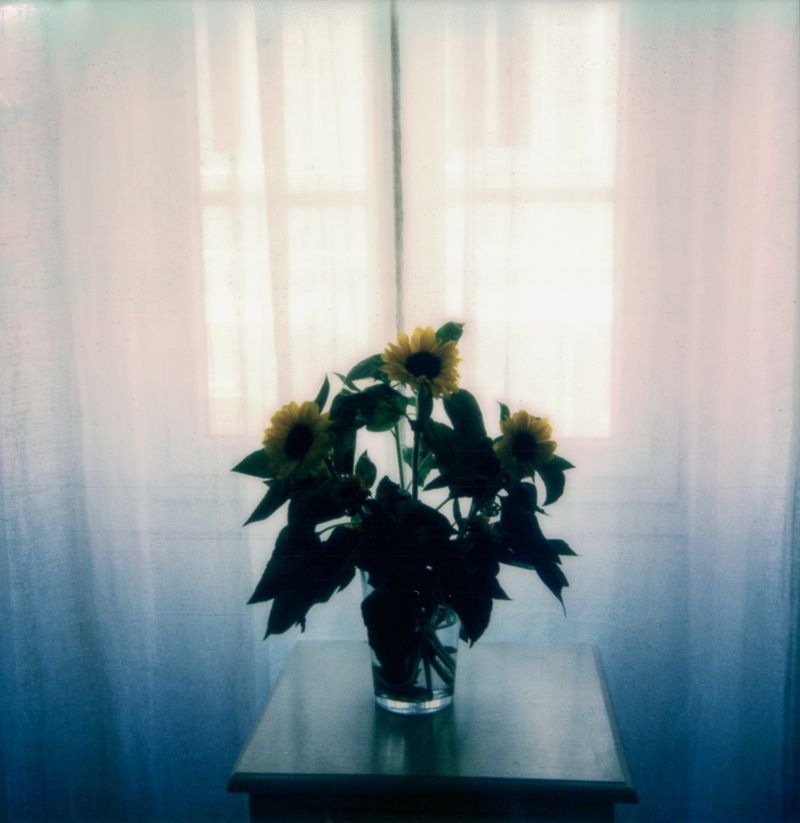 © Gloria Salgado Gispert - Image from the Life pieces photography project