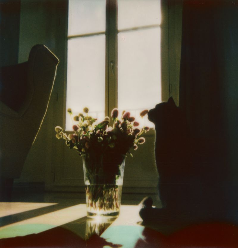 © Gloria Salgado Gispert - Image from the Life pieces photography project