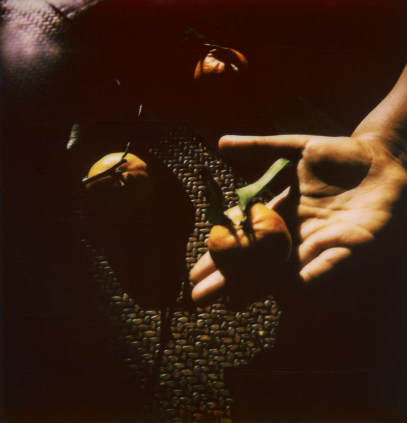 © Gloria Salgado Gispert - Image from the Life pieces photography project
