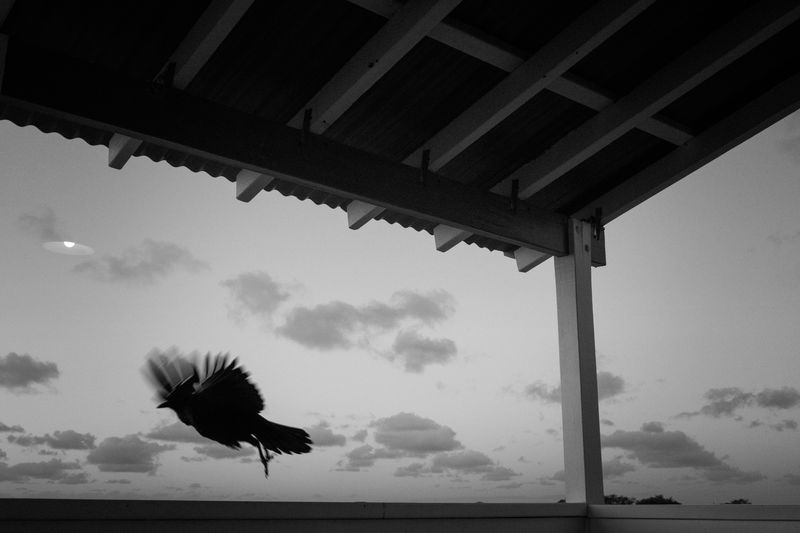 © Gloria Salgado Gispert - Image from the Life pieces photography project